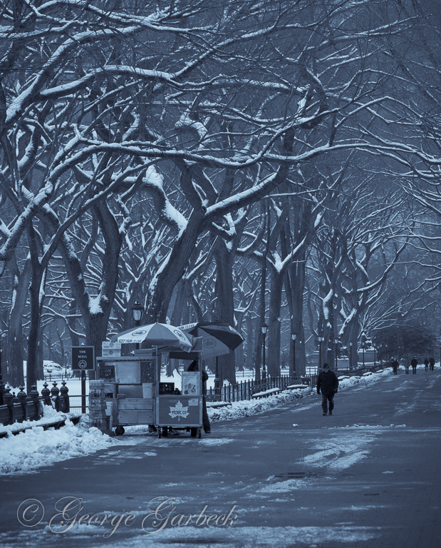 Central Park in Winter
